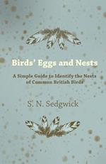 Birds' Eggs and Nests - A Simple Guide to Identify the Nests of Common British Birds