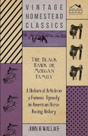 Black Hawk or Morgan Family - A Historical Article on a Famous Dynasty in American Horse Racing History