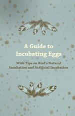 Guide to Incubating Eggs - With Tips on Bird's Natural Incubation and Artificial Incubation