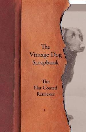 Vintage Dog Scrapbook - The Flat Coated Retriever