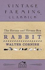 Havana and Havana-Rex Rabbit