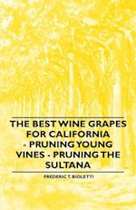 Best Wine Grapes for California - Pruning Young Vines - Pruning the Sultana