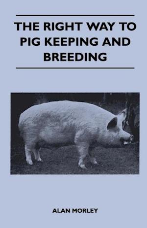 Right Way to Pig Keeping and Breeding