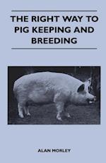 Right Way to Pig Keeping and Breeding