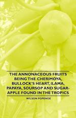 Annonaceous Fruits Being the Cherimoya, Bullock's Heart, Ilama, Papaya, Soursop and Sugar-Apple Found in the Tropics