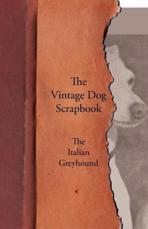 Vintage Dog Scrapbook - The Italian Greyhound