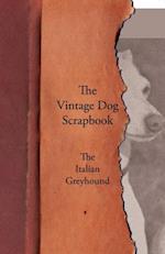 Vintage Dog Scrapbook - The Italian Greyhound