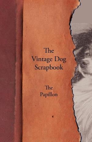 Vintage Dog Scrapbook - The Papillon