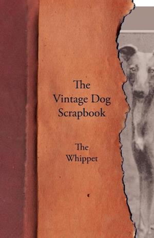 Vintage Dog Scrapbook - The Whippet