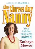 Three Day Nanny: Your Toddler Problems Solved