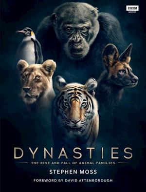 Dynasties