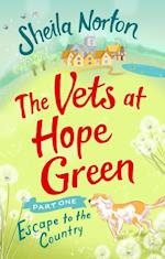 Vets at Hope Green: Part One