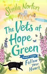 Vets at Hope Green: Part Two