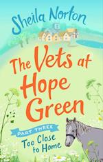 Vets at Hope Green: Part Three