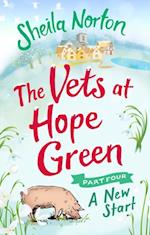 Vets at Hope Green: Part Four