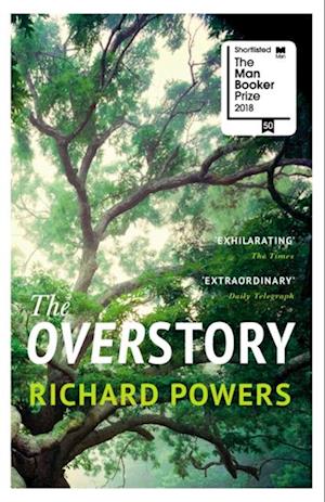 Overstory