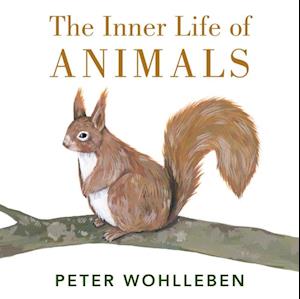 Inner Life of Animals