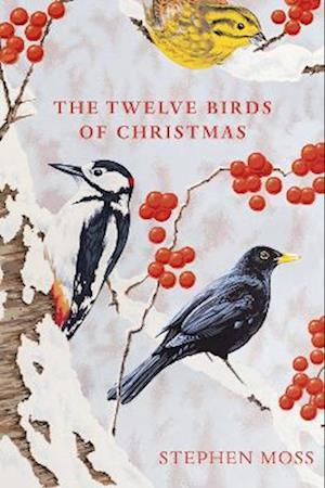 Twelve Birds of Christmas