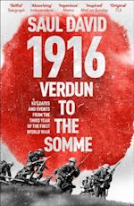 1916: Verdun to the Somme