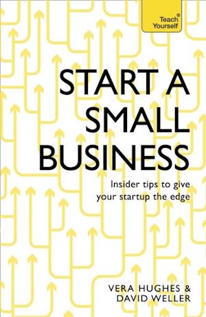 Start a Small Business