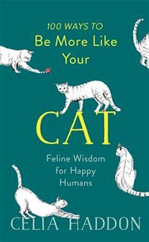 100 Ways to Be More Like Your Cat