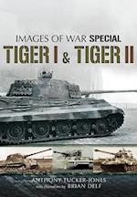 Tiger I & Tiger II