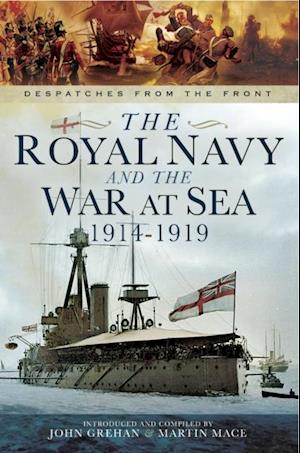 Royal Navy and the War at Sea, 1914-1919