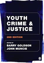 Youth Crime and Justice