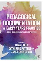 Pedagogical Documentation in Early Years Practice