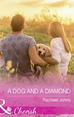 Dog And A Diamond