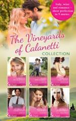 Vineyards Of Calanetti