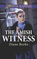 Amish Witness
