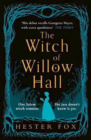 Witch Of Willow Hall