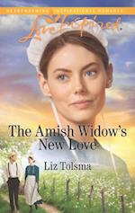 Amish Widow's New Love