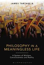 Philosophy in a Meaningless Life