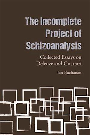 The Incomplete Project of Schizoanalysis