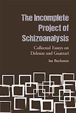 The Incomplete Project of Schizoanalysis