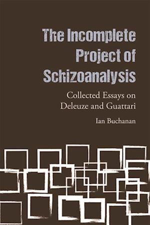 Incomplete Project of Schizoanalysis