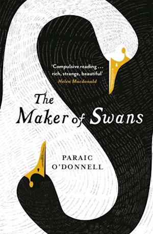 Maker of Swans