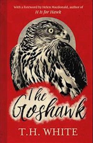 The Goshawk