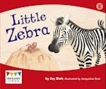 Little Zebra