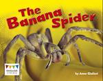 Banana Spider