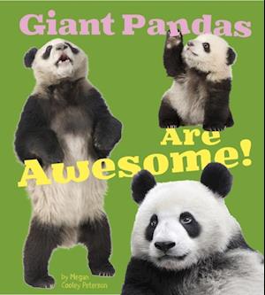 Giant Pandas Are Awesome!