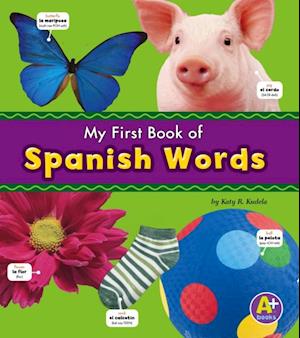 Spanish Words