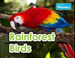 Rainforest Birds