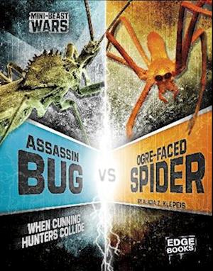 Assassin Bug vs Ogre-Faced Spider