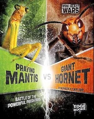 Praying Mantis vs Giant Hornet