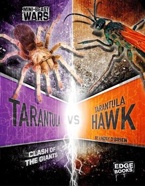 Tarantula vs Tarantula Hawk