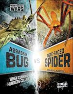 Assassin Bug vs Ogre-Faced Spider