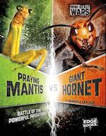 Praying Mantis vs Giant Hornet